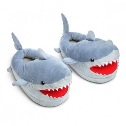 Žraločí papučky